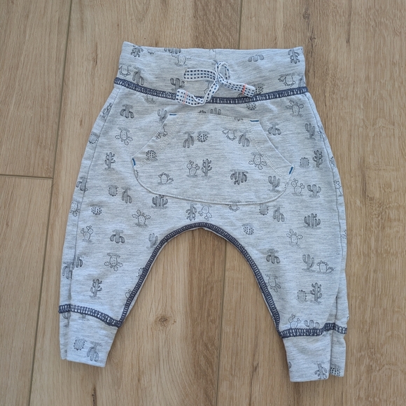 HEMA Other - Gray Baby Panda Pants with Cactus Print